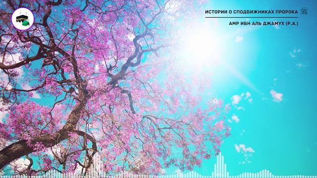 #8 Истории о сподвижниках Пророка ﷺ /  Амр ибн аль Джамух (р.а.)