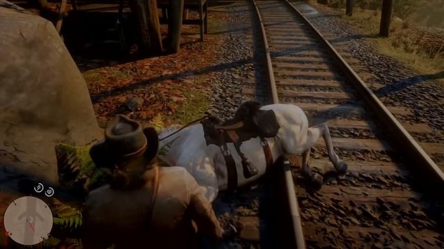 Red Dead Redemption 2 - смешные моменты