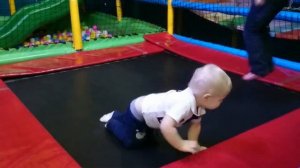 Кот на батуте, 1,6