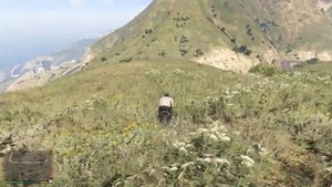 просто катаюсь в GTAV