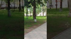 Video_20250523222424742_by_Filmigo.mp4