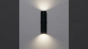 Настенный светильник Maytoni Artisan C080WL-02-GU10-B