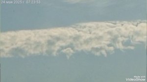 Мариуполь ⚓ МОИ ЛЮБИМКИ 🐈🐈🐈🥰