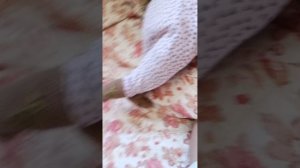 1000027914.mp4