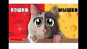 кошки - мышки