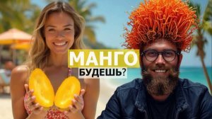 Как манго привозят в Россию: жизнь фрукта до полки супермаркета
