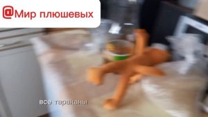 оранжевый и фиолетовый когда кто-то на кухне