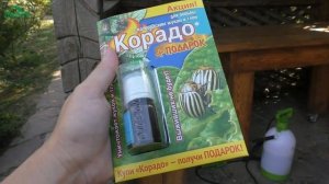 От колорадского жука спасает "Корадо" - 7 дач