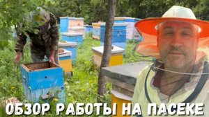 Обзор работы на пасеке: как идут дела в этом сезоне!