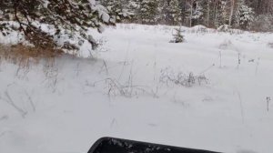 Толкач тофалар 500