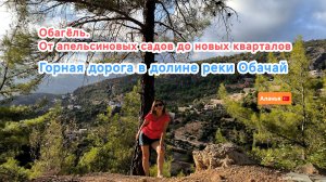 По Обагёль на квадроцикле: от апельсиновых садов до новых кварталов. Сочетание природы и урбанизации