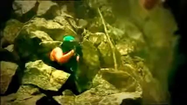 Миллионеры играют в пейнтбол смотреть онлайн