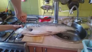 Гастрономическое утро. Мастер-класс