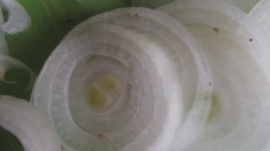 Быстрое маринование шашлыка