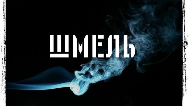 ШМЕЛЬ - Бренд 2016