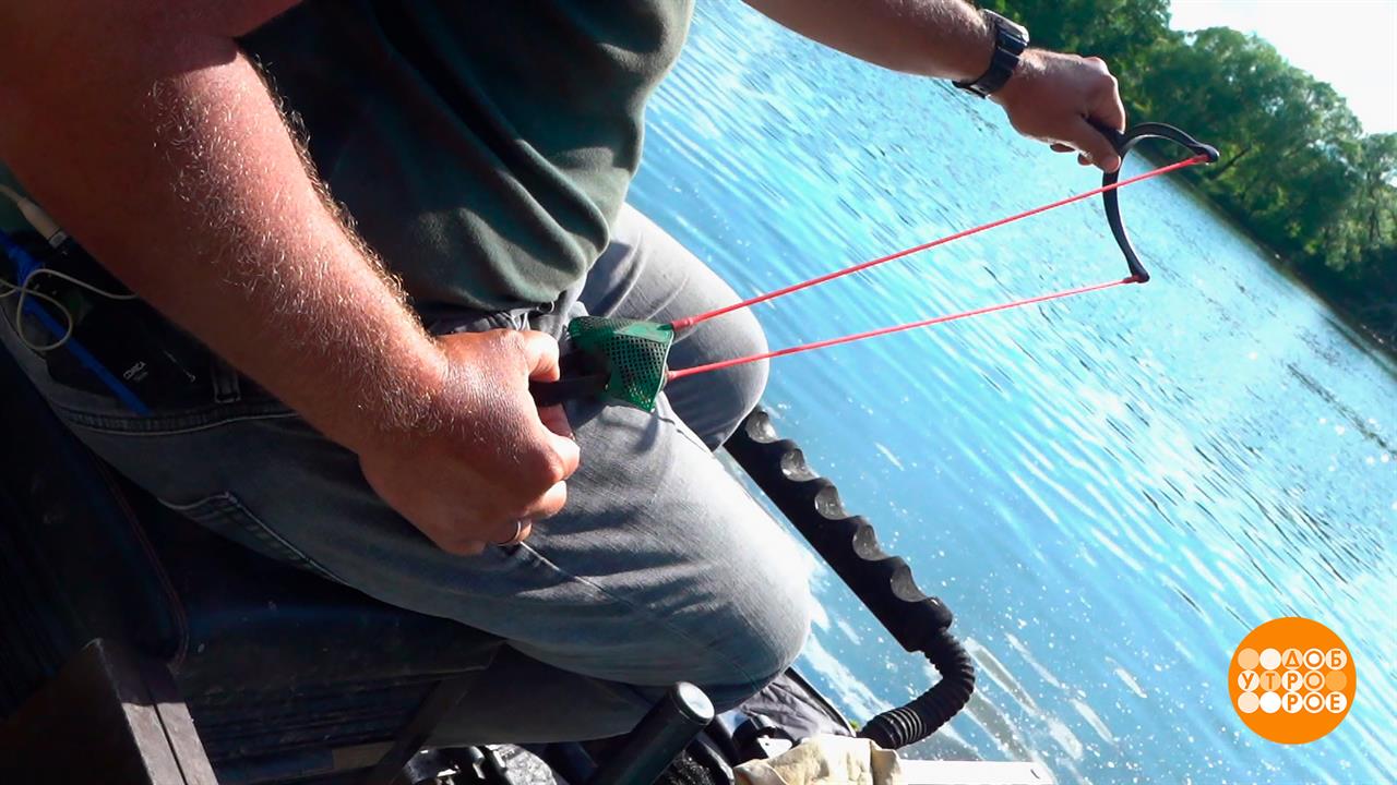 Приятного аппетита, рыбка, большая и... большая. Доброе утро. Суббота. Фрагмент выпуска от 24.05....