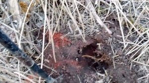 шикарные находки при копе металла — коп по войне.
