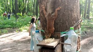 Копия копии Кормушка и люди. Зарисовка