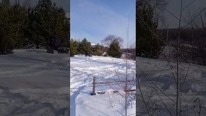 самодельные гусеницы вездеход арго 6х6
