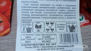 № 331 - Томаты Турбореактивные. Будем испытывать новый сорт.