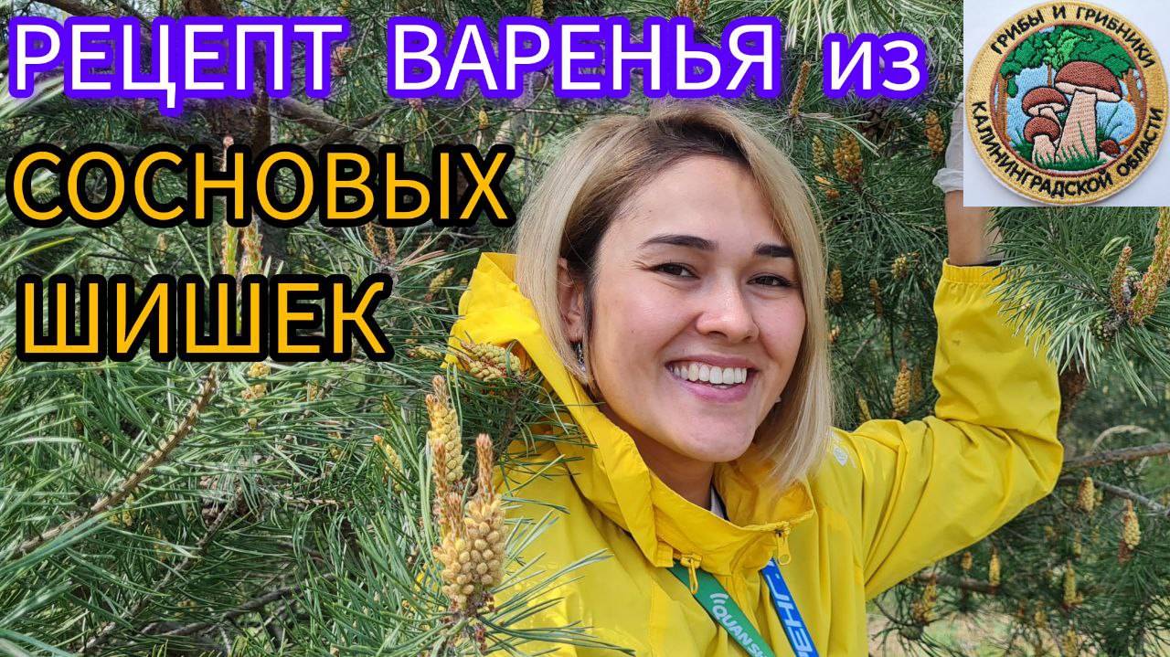пошаговый рецепт ВАРЕНЬЯ ИЗ СОСНОВЫХ ШИШЕК. Советы грибников. Дары природы