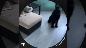 1000075792.mp4