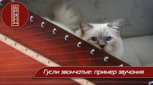 Гусли звончатые (ученические) пример звучания