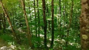 1000006346.mp4