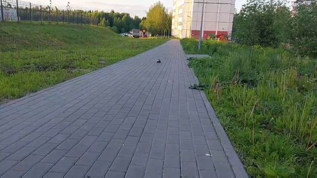 Конструктор IM.Master Mechanical Master no.5817 434 дет.Внедорожник с п? смотреть онлайн