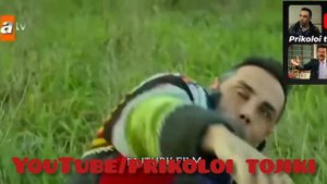 приколи шавкат