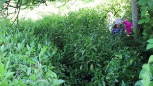 Приглашение