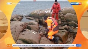 Анастасия Чернобровина Утро России Эфир от 28.02.2020