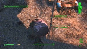 GAF.NO И БЛОХАСТЫЙ ДРУЖОК В FALLOUT 4 ПРИКОЛЫ В ИГРАХ