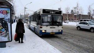 Автобус Mercedes-Benz O405 (АР 268 22) и Scania OmniLink CK95UB (АР 238 22)
