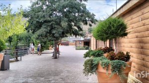 Красивое кафе рядом с С Сулаксским каньоном