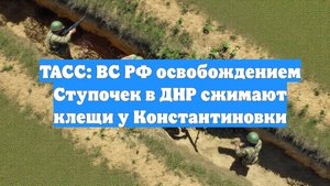 ТАСС: ВС РФ освобождением Ступочек в ДНР сжимают клещи у Константиновки