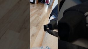 игра в кальмара