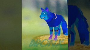 Мистический скин на ледяного волка Wild Craft