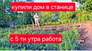 498 🏠 Живём в станице на юге. О чём мечтали то и получили.Тут никому ничего не нужно.Хотят халяву.