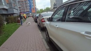 24-05-2025 Техника полетела // Житейские сложности