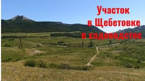 Участок в Щебетовке под Кара-дагом.