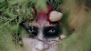 18196265-uhd_3840_2160_24fps