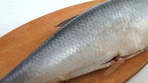 Быстрая засолка сельди в домашних условиях