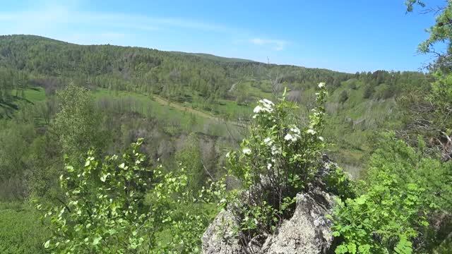 Река Ик в начале лета смотреть онлайн