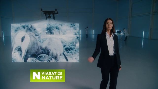 Агент пакета ViP смотреть онлайн