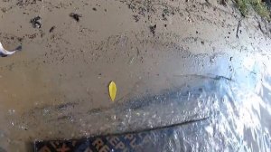 Fario NT Morm.S 0.5-2 гр  и наноджиг.