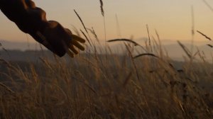 AdobeStock_391146433