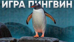 ИГРА ПИНГВИНЧИК НА ЛЬДУ