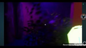CARE OF GONGON ВЕРНУЛСЯ! care of gongon трейлер (пародия garden of banban)