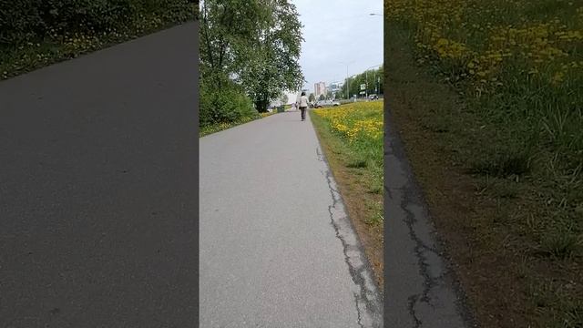 Прогулка до мусорки